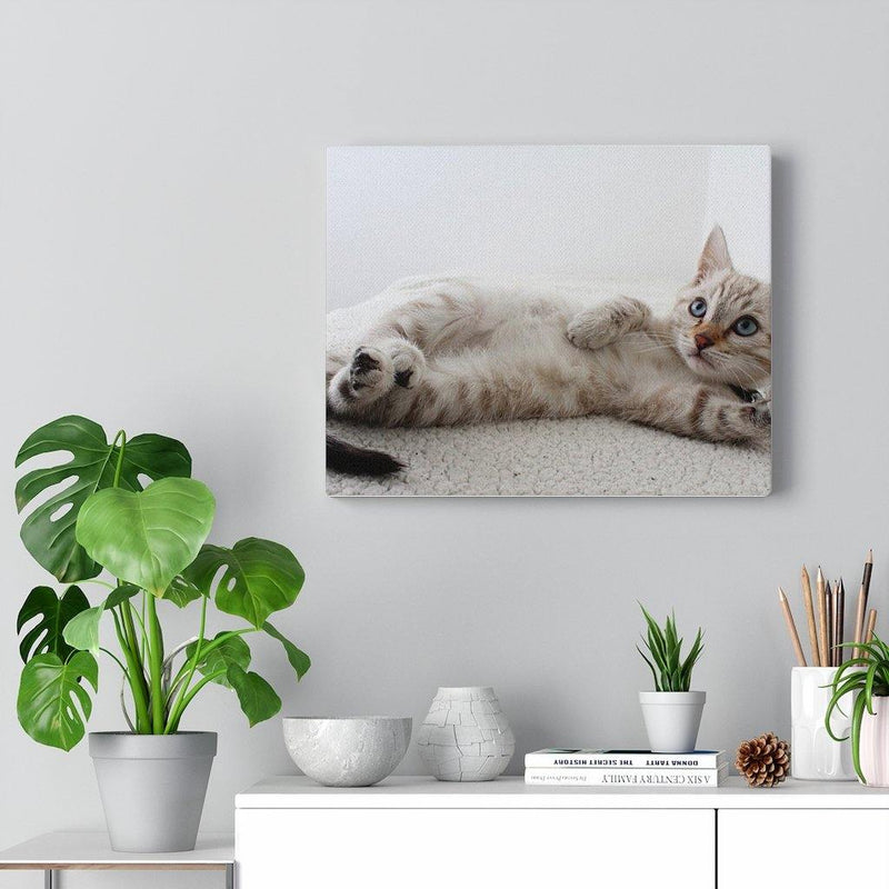 Adorable Cat Canvas Gallery Wall Art - Annizon Home Essentials