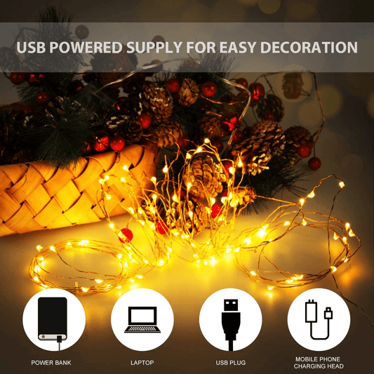 10M 100 LEDs USB Copper Wire Christmas Decoration String Light - Annizon Home Essentials