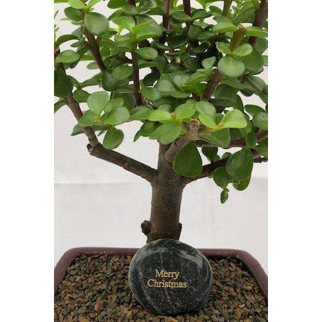 Personalized Skipping Stone"Merry Christmas" - Annizon Home Essentials