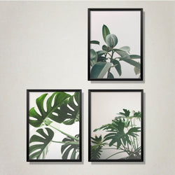 Greenery Wall Art Collection freeshipping - Annizon Home Essentials
